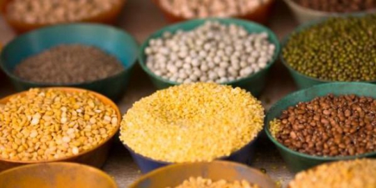 9 makanan pembentuk otot untuk vegetarian