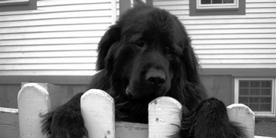 bunuh diri berkali kali rev1