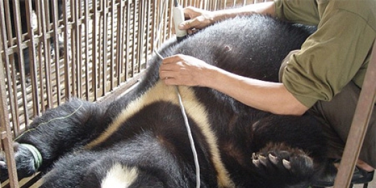 china bunuh diri ketimbang tersiksa rev1