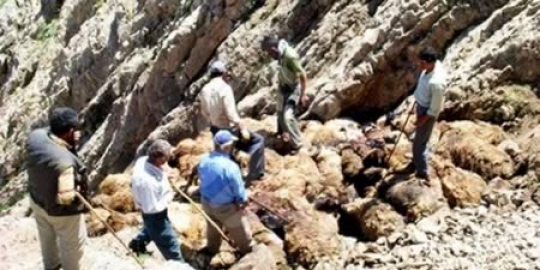 diri massal di turki rev1