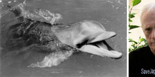 depresi dan malas bernafas rev1