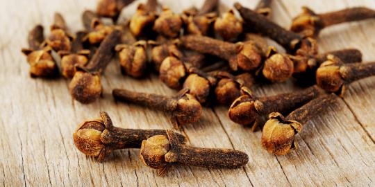 Tembakau dikontrol, satu juta petani cengkeh bakal gulung tikar