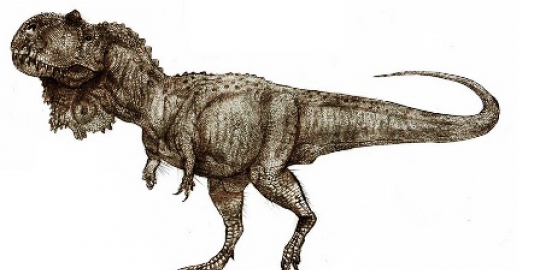 6 fosil dinosaurus yang pernah ditemukan