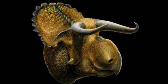 6 fosil dinosaurus yang pernah ditemukan