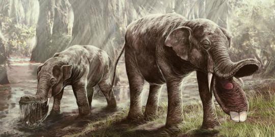 Platybelodon gajah  purba  yang berwajah seperti monster 