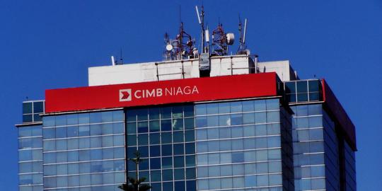 CIMB Niaga targetkan pertumbuhan kredit 17 persen tahun depan