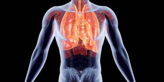5 Tips mudah menjaga kesehatan paru-paru