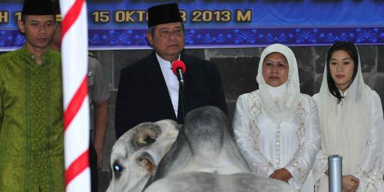 Usai salat Id, SBY kurban sapi seberat 1 ton di Masjid Istiqlal