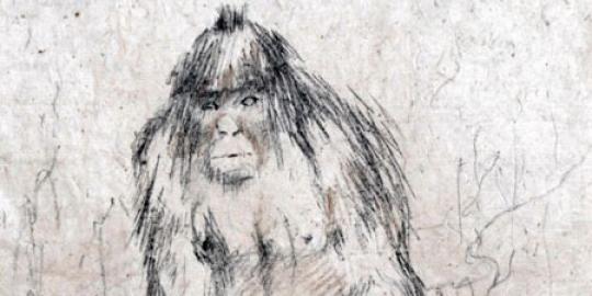 Identitas Yeti, sosok misterius di Gunung Himalaya mulai terkuak