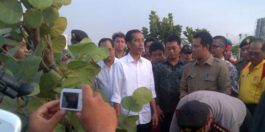 Akhir tahun, Jokowi akan buat festival taman