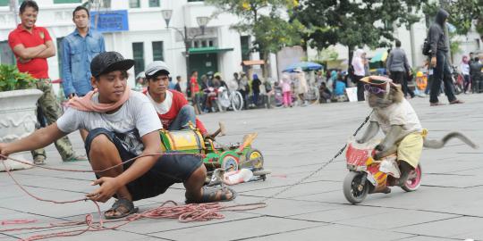 Masalah topeng monyet mendunia, Jokowi lakukan 4 langkah ini