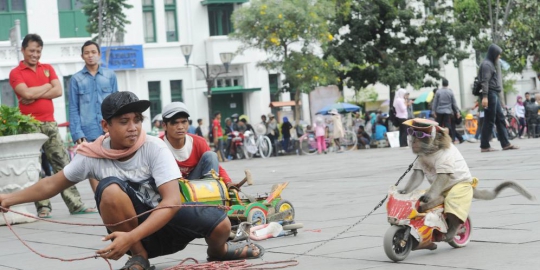 jawab dinas peternakan rev4