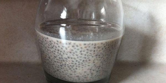lemak omega 3 rev4