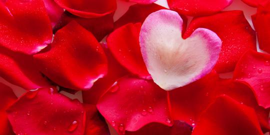 Susah dapat pasangan? Ini solusinya!