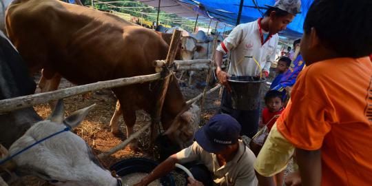 Dipergoki pemilik rumah, pencuri sapi di Pamekasan lempar bom