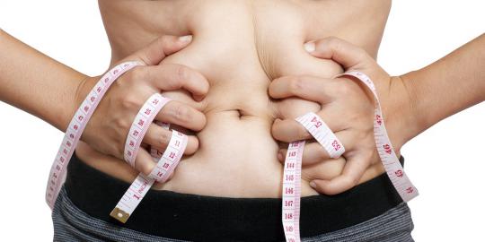 6 Fakta penting tentang lemak yang jarang diketahui