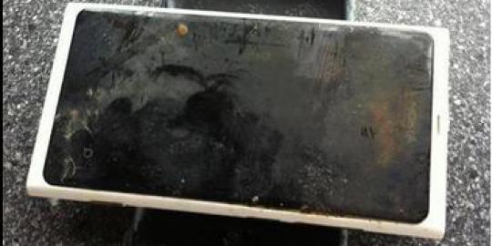 Tenggelam di danau 3 bulan, Nokia Lumia 800 ini masih berfungsi