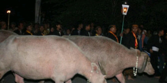 bule di keraton surakarta rev3