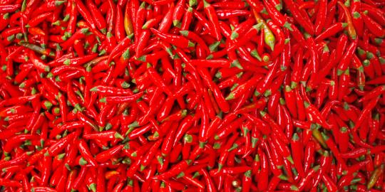 Kemendag: Cabe merah jadi penyumbang tertinggi inflasi Oktober