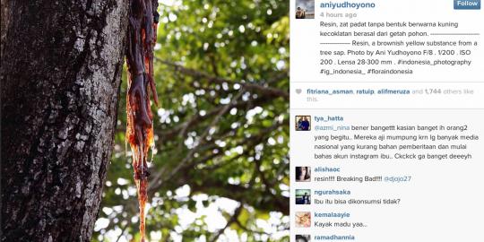 Saling ribut sendiri di Instagram Ibu Ani