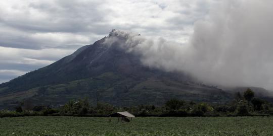 Petani rugi Rp 4 M lebih akibat erupsi Gunung Sinabung