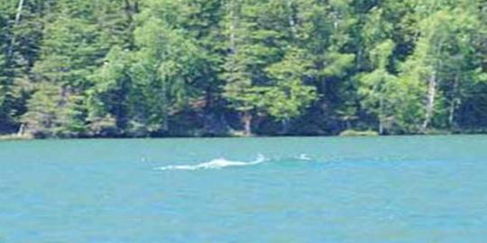 Monster danau mirip Nessie juga ada di China