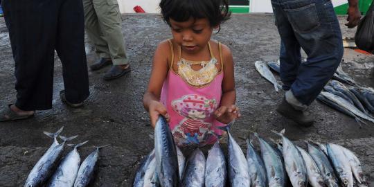 Marathon dua perusahaan ikan