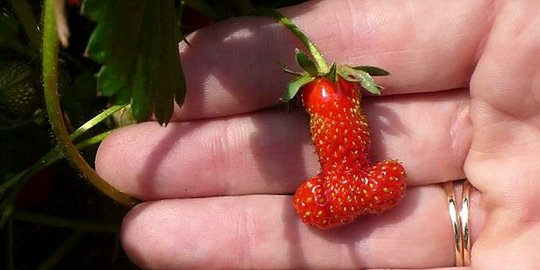 punya pacar lelaki china potong penisnya rev3