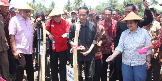 PDIP: Jalan bareng Mega-Jokowi sekadar back up politik