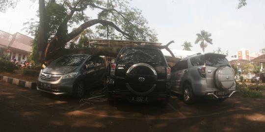 Ganti pelat merah jadi hitam, mobil anggota DPRD tertimpa pohon
