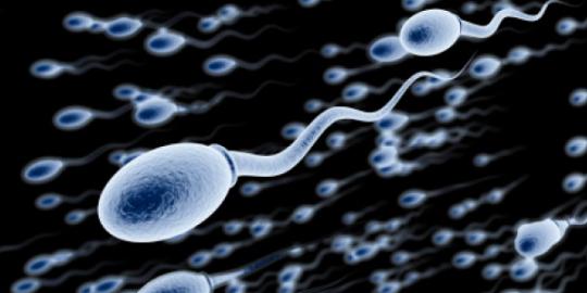 Ternyata nutrisi sperma sama dengan putih telur!