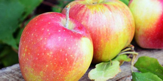 11 makanan ini ampuh menekan nafsu makan