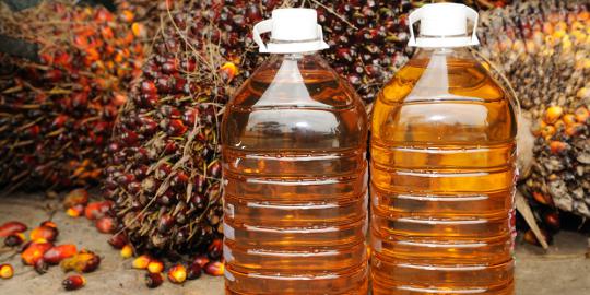 Ekspor buah Indonesia bertumpu pada 4 komoditas