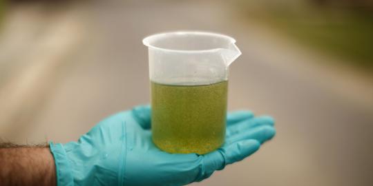 Pasar domestik mampu serap biofuel yang kena antidumping Eropa