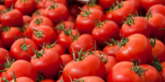 lindungi kulit dari kanker dengan 5 makanan ini!