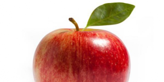 konsumsi 13 makanan ini sebelum dan sesudah berhubungan seks