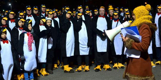Galang dana amal, 325 orang berkumpul pakai kostum penguin