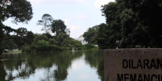 belakang istana bogor rev4