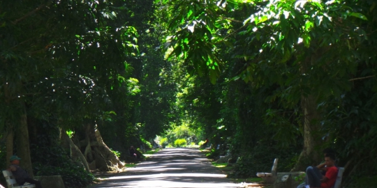 bogor rev4