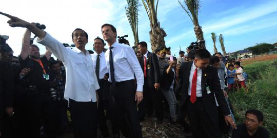 Jokowi suruh korban pohon tumbang minta ganti ke pemilik