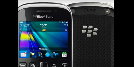 Blackberry sebiji cukup jadi modal bisnis