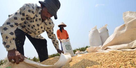 Petani di Indonesia kebanyakan berusia tua