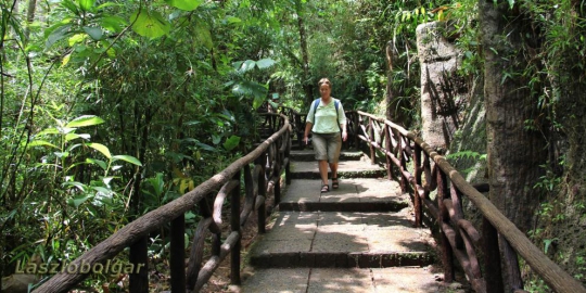 waterfall gardens alajuela kosta rika