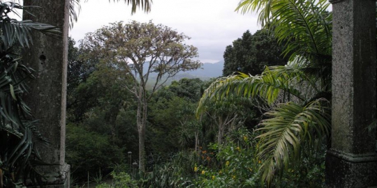 burle marx rio de janeiro brasil