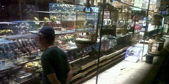 PD Pasar Jaya akan relokasi Pasar Burung Pramuka ke Pulogadung