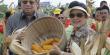 Presiden SBY dan Ibu Ani panen jagung hibrida di Madura