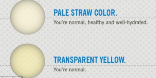 dan kuning transparan