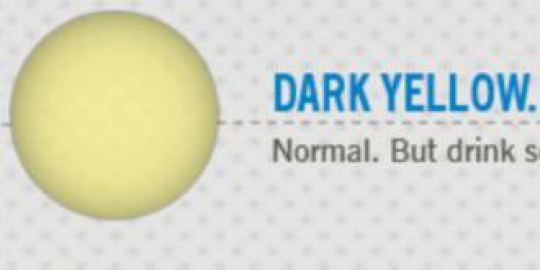kenali masalah kesehatan dari warna urine!