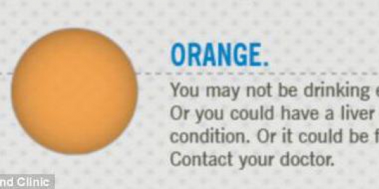 kenali masalah kesehatan dari warna urine!