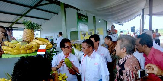 Jiplak Singapura, Dahlan ambisi bawa pisang Indonesia mendunia